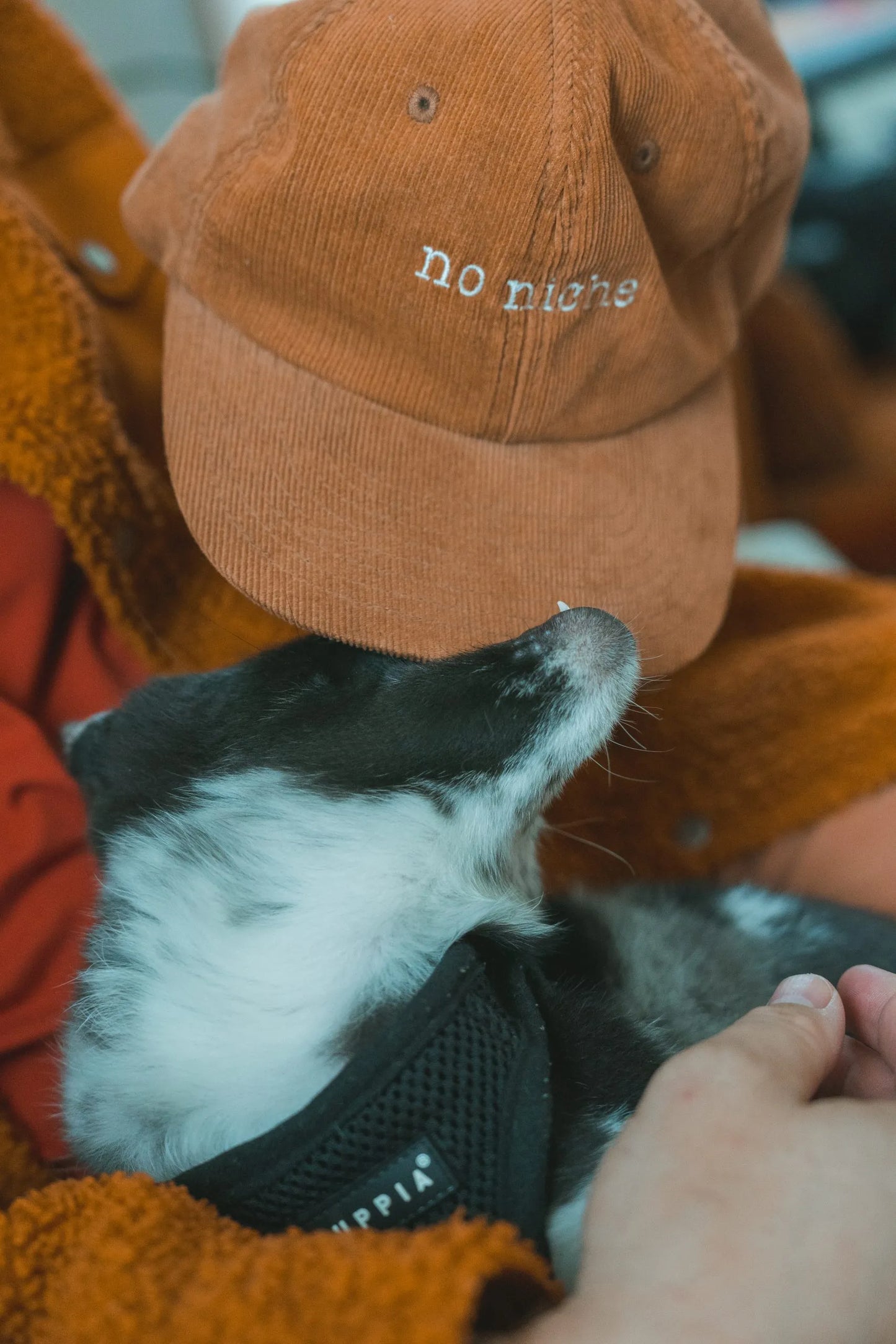 "No Niche" Corduroy Hat